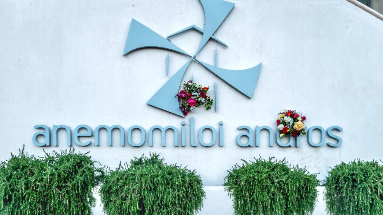 Hotel Anemomiloi Andros Zewnętrze zdjęcie